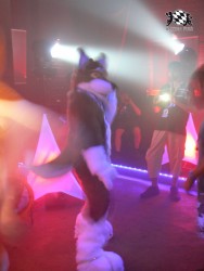 BFD3 0594 von Unbekannt