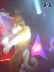 BFD3 0595 von Unbekannt