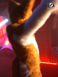 BFD3 0598 von Unbekannt