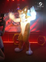 BFD3 0600 von Unbekannt