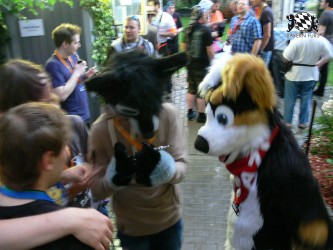 BFD3 0609 von Unbekannt