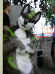 BFD3 0610 von Unbekannt