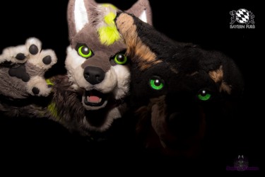 BFD4 0229 von Sephius