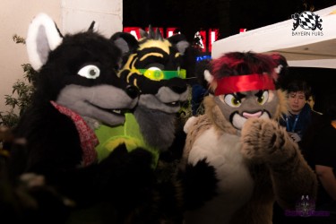 BFD4 0241 von Sephius