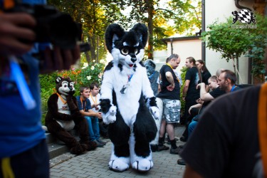 BFD5 0008 von Bastlwastl