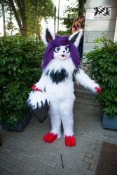 BFD5 0016 von Bastlwastl