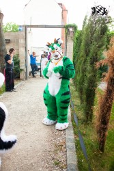 BFD5 0023 von Bastlwastl