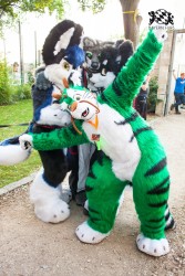 BFD5 0024 von Bastlwastl