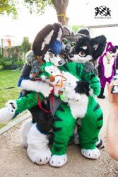 BFD5 0025 von Bastlwastl