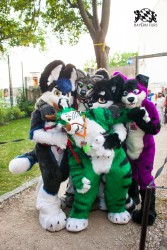 BFD5 0028 von Bastlwastl