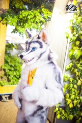 BFD5 0029 von Bastlwastl