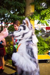 BFD5 0030 von Bastlwastl