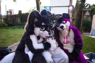 BFD5 0033 von Bastlwastl