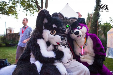 BFD5 0034 von Bastlwastl