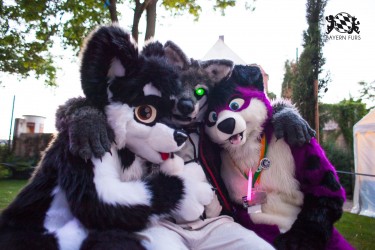 BFD5 0035 von Bastlwastl