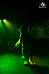 BFD5 0042 von Bastlwastl