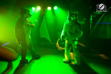 BFD5 0044 von Bastlwastl