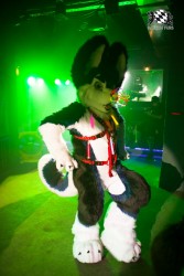 BFD5 0049 von Bastlwastl