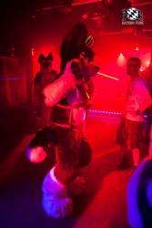 BFD5 0051 von Bastlwastl