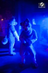 BFD5 0061 von Bastlwastl