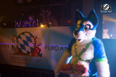 BFD5 0068 von Bastlwastl