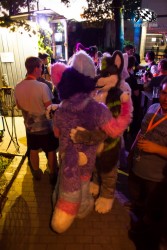 BFD5 0079 von Bastlwastl