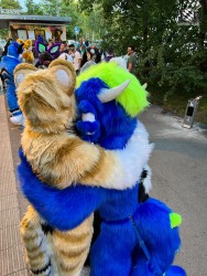 bfd111 von werefox aries