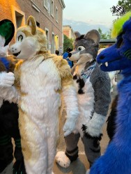 bfd111 von werefox aries