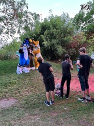 bfd111 von werefox aries