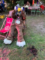 bfd111 von werefox aries