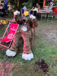 bfd111 von werefox aries