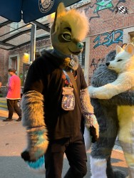 bfd111 von werefox aries