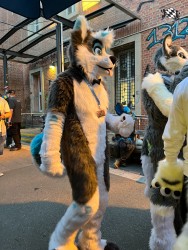 bfd111 von werefox aries