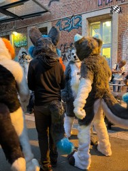 bfd111 von werefox aries