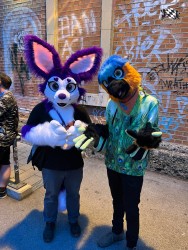 bfd111 von werefox aries