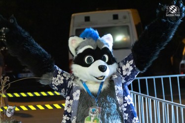 bfd111 0168 von final