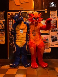 bfd111 von werefox aries