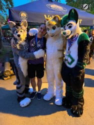 bfd111 von werefox aries