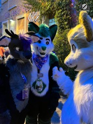 bfd111 von werefox aries