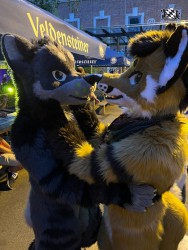 bfd111 von werefox aries