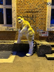 bfd111 von werefox aries