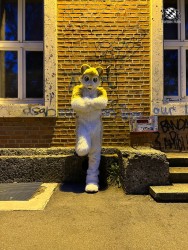 bfd111 von werefox aries