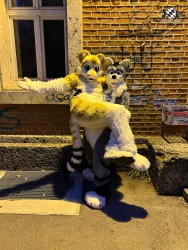 bfd111 von werefox aries