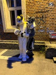 bfd111 von werefox aries