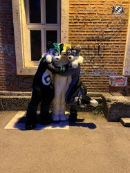 bfd111 von werefox aries