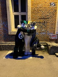 bfd111 von werefox aries