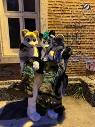 bfd111 von werefox aries