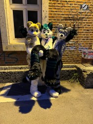 bfd111 von werefox aries