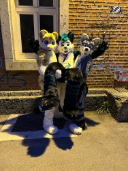 bfd111 von werefox aries