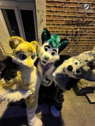 bfd111 von werefox aries